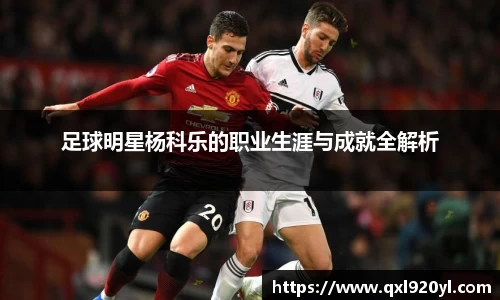 足球明星杨科乐的职业生涯与成就全解析