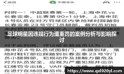 足球明星因违规行为遭重罚的案例分析与影响探讨